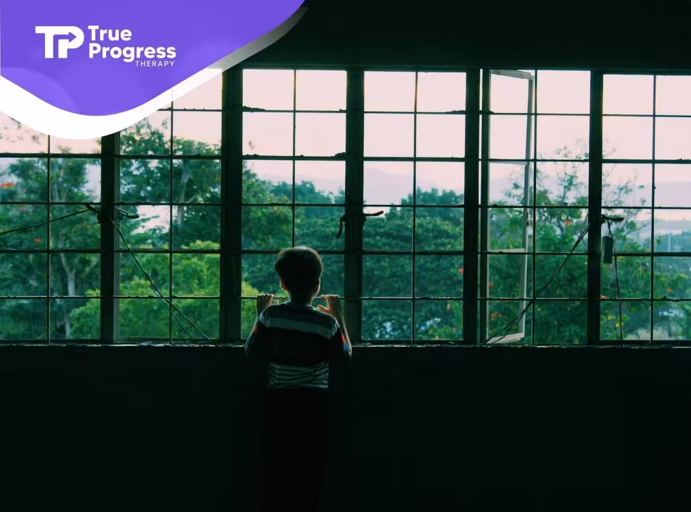 Silhouetted figure stands by large window, gazing out at green trees and distant hills under a pastel sky.