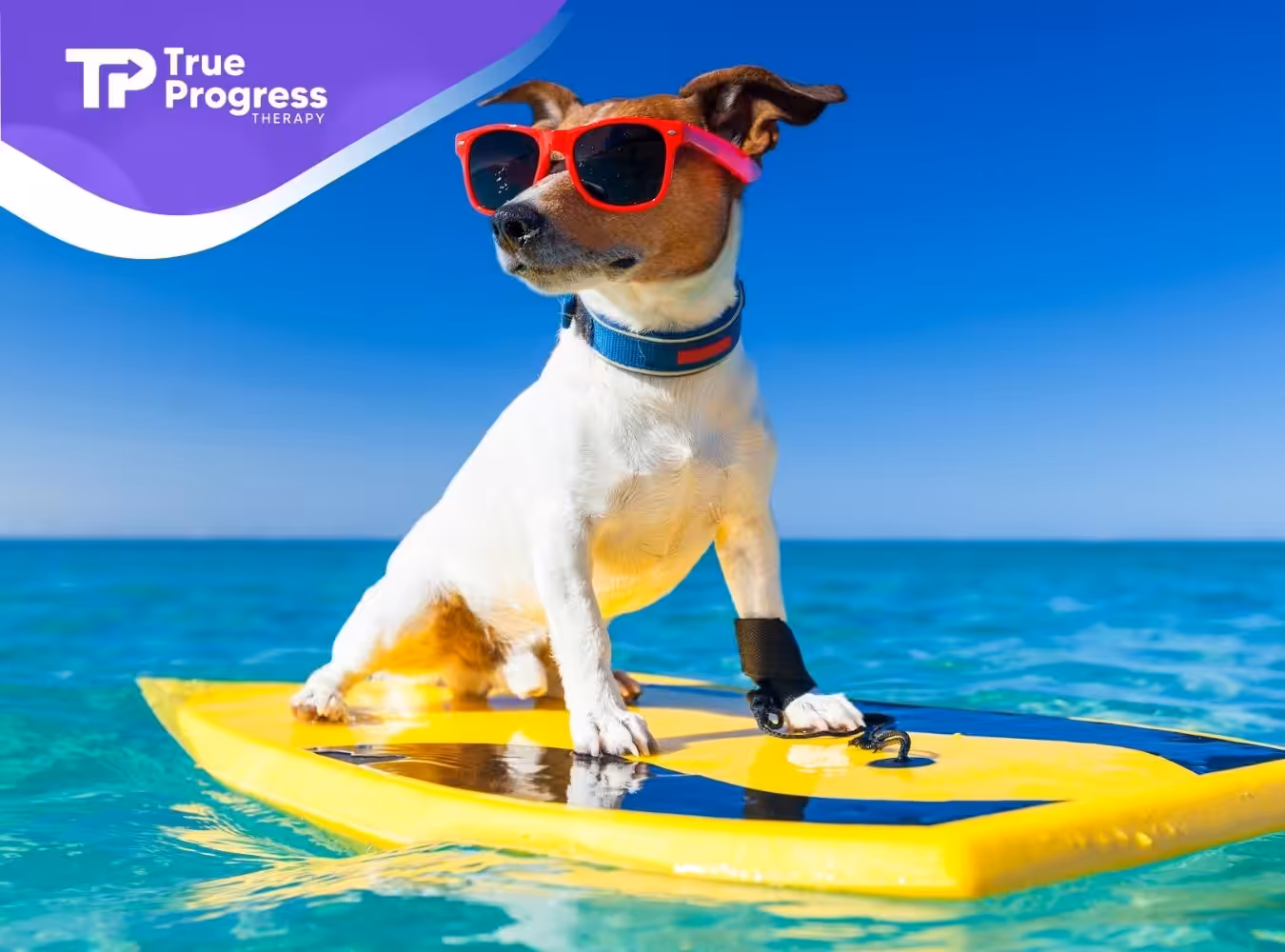 a dog wearing sunglasses and standing on a yellow surfboard in the water