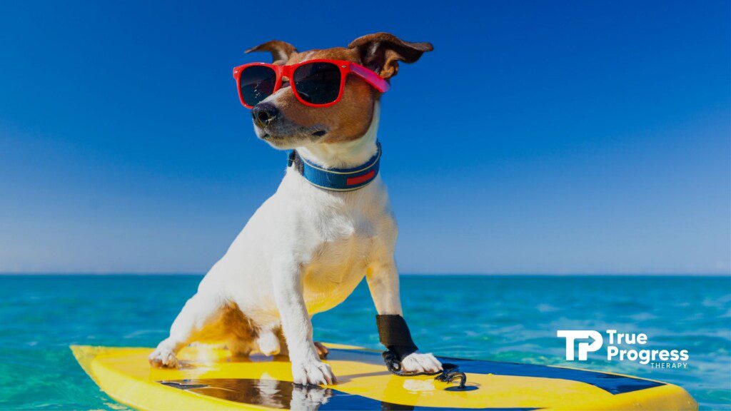 Can Dogs Have Autism? Insights and Recommendations